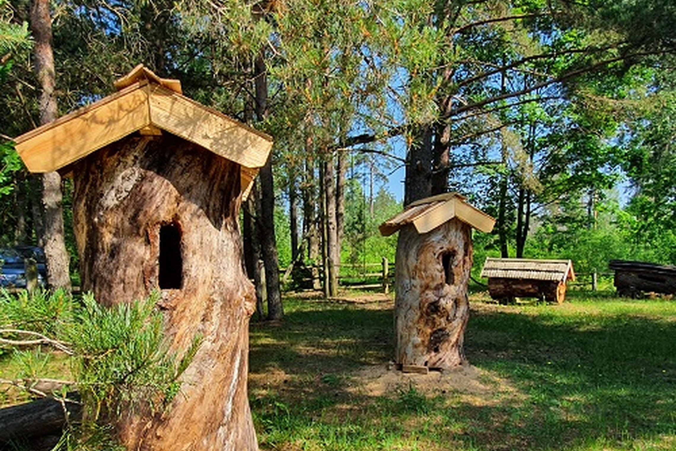 Iliustracija