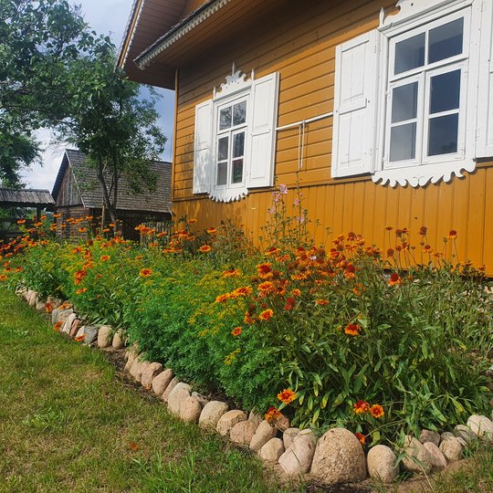 Iliustracija