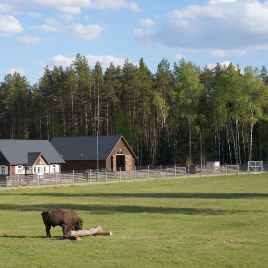 Iliustracija