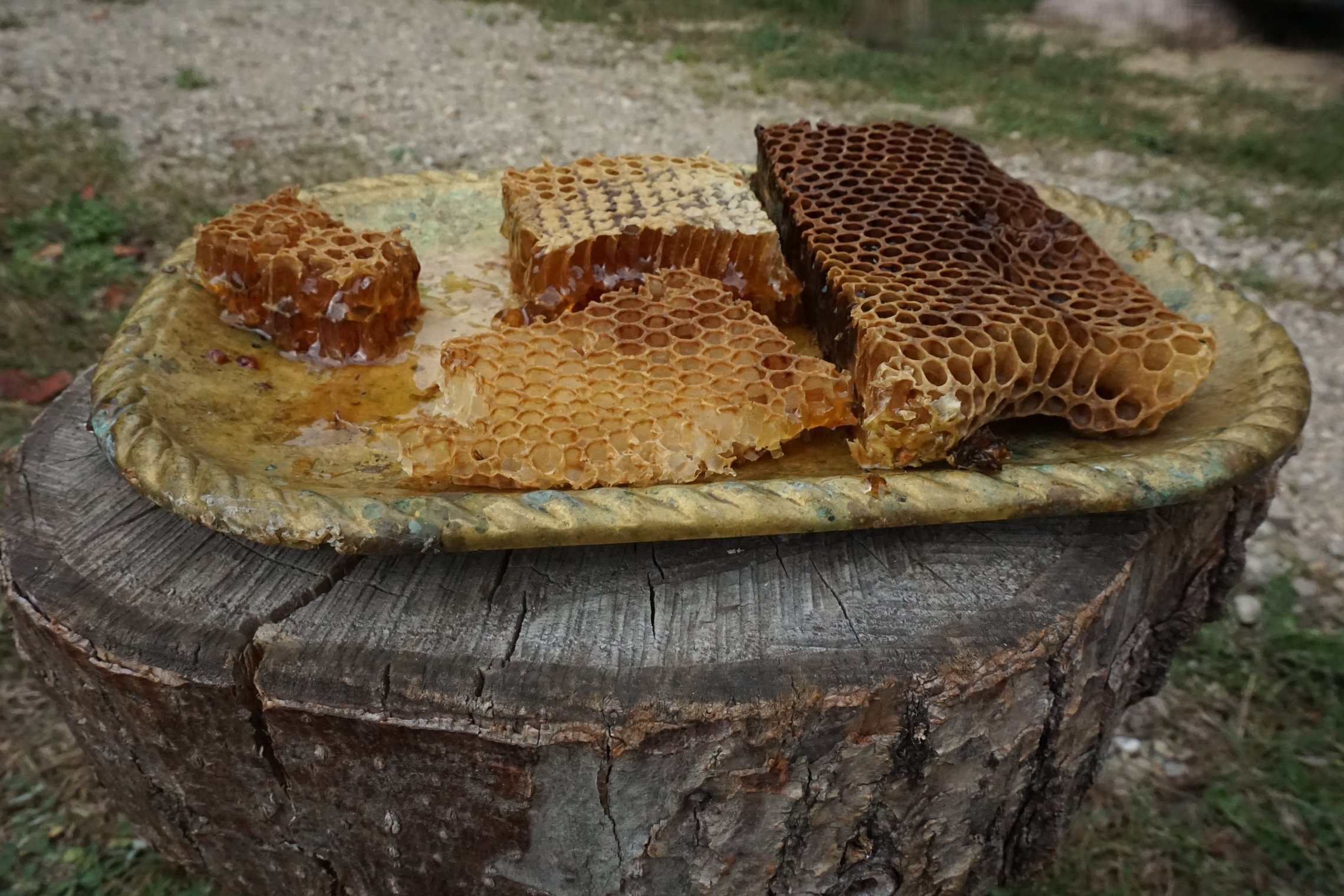 Iliustracija