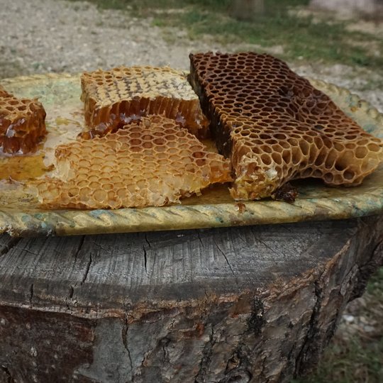 Iliustracija