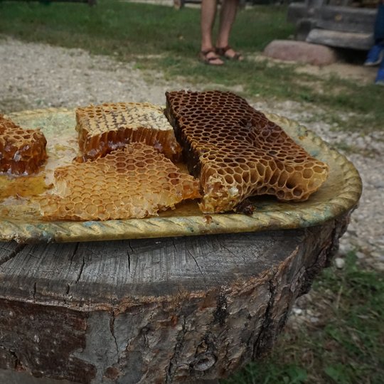 Iliustracija