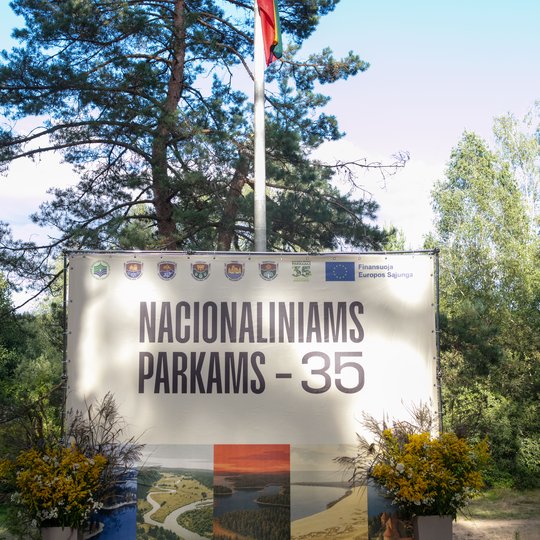 Iliustracija